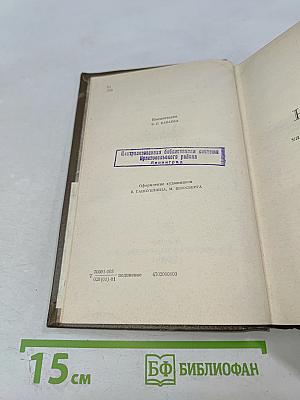 Анна Каренина. Роман в восьми частях. Том 8