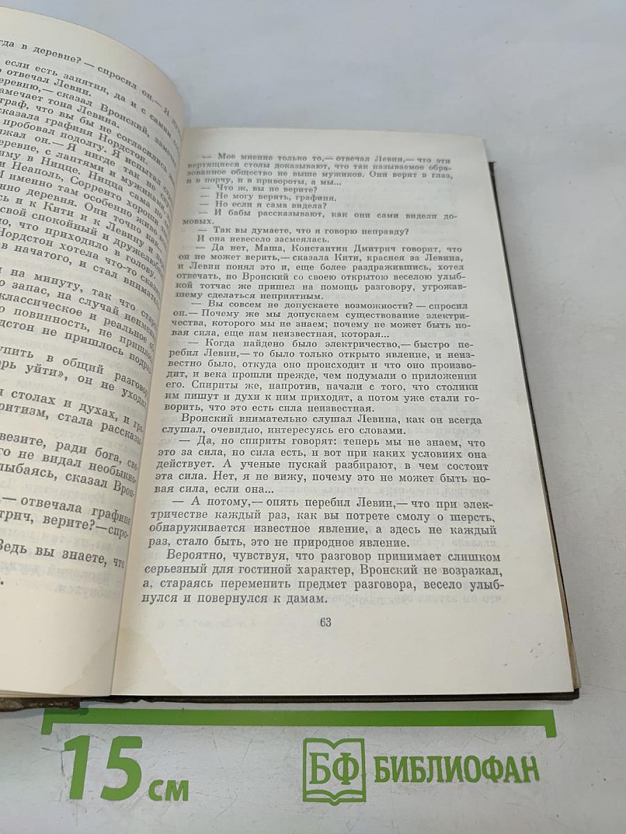 Анна Каренина. Роман в восьми частях. Том 8