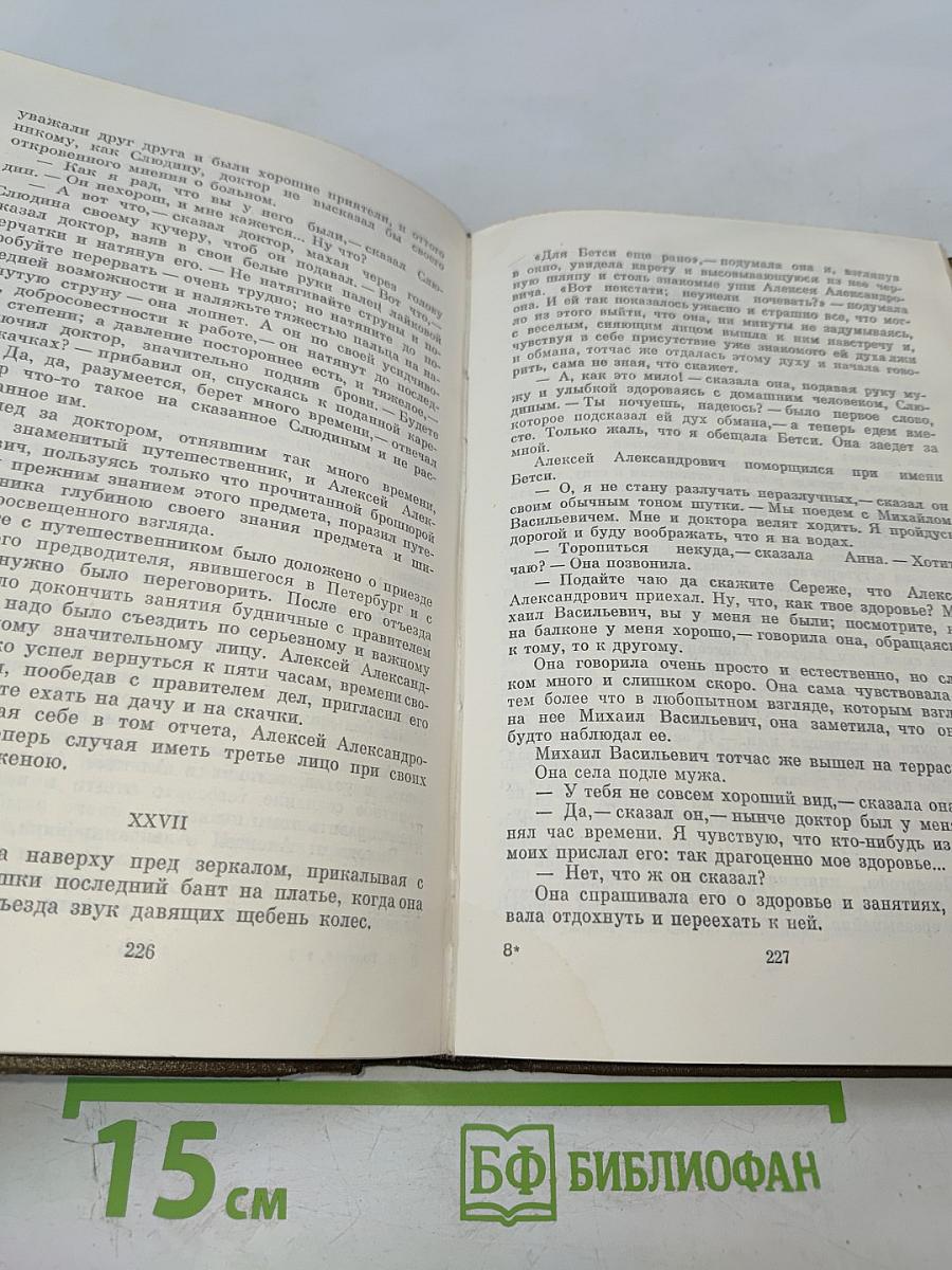 Анна Каренина. Роман в восьми частях. Том 8