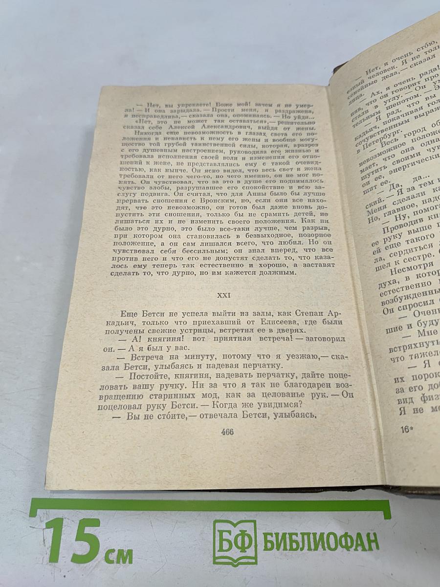 Анна Каренина. Роман в восьми частях. Том 8