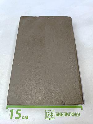 Анна Каренина. Роман в восьми частях. Том 8