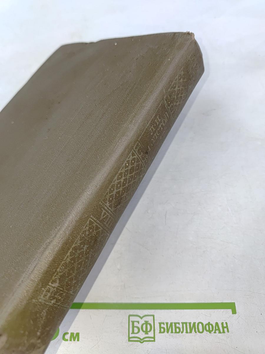 Анна Каренина. Роман в восьми частях. Том 8