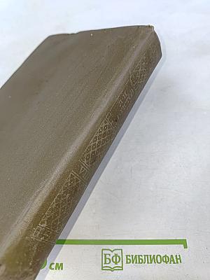 Анна Каренина. Роман в восьми частях. Том 8