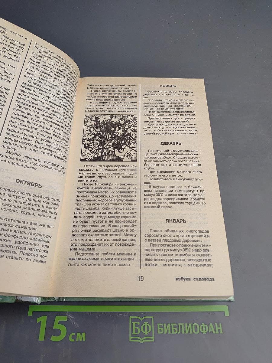 Энциклопедия домашнего быта, Том 2