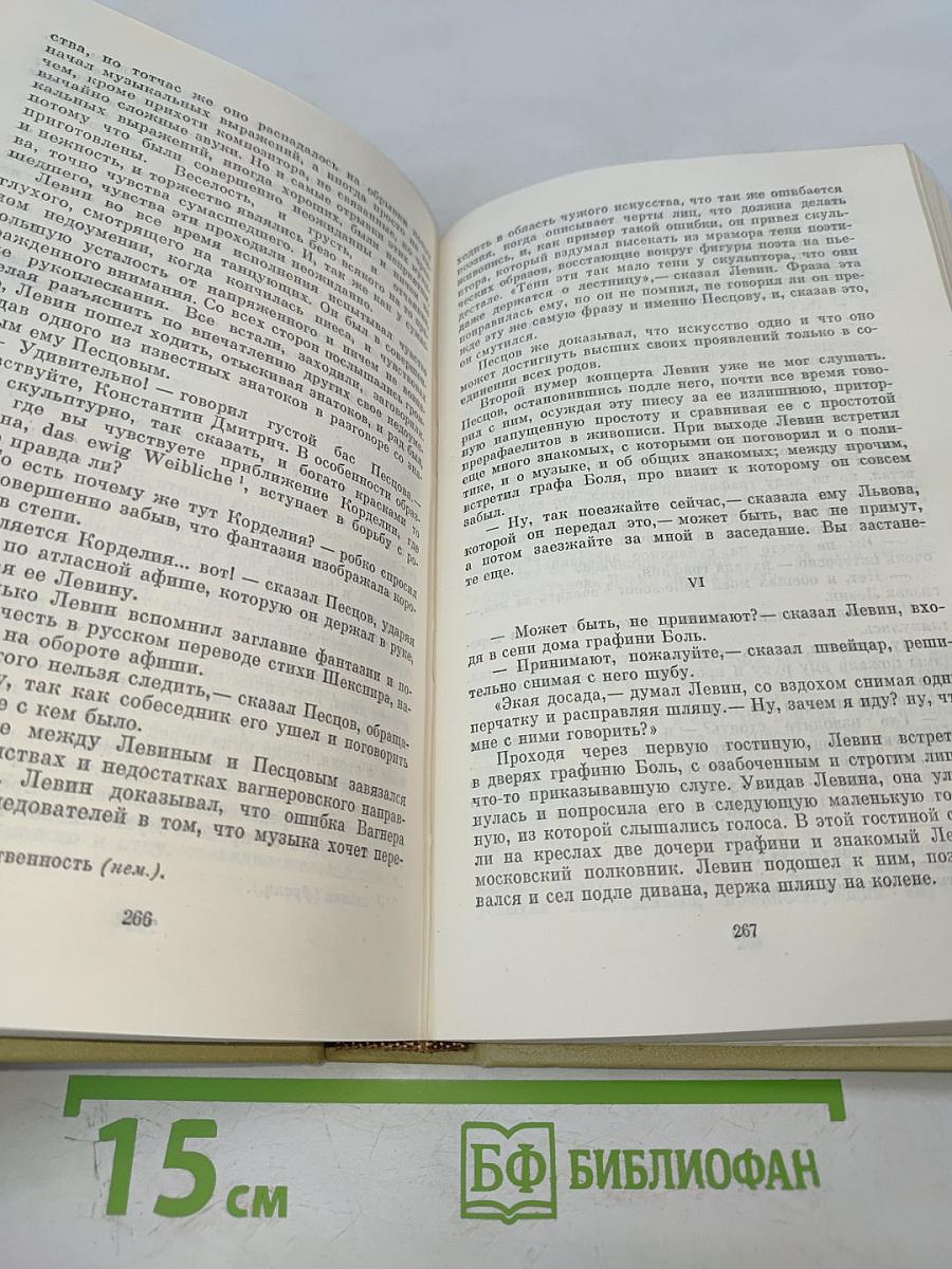 Анна Каренина. Том девятый