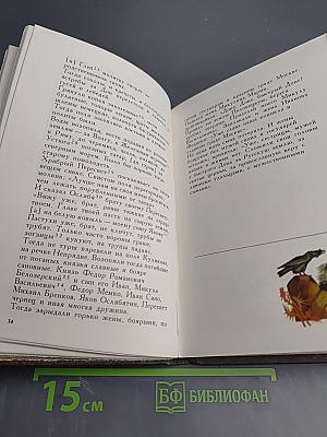 Задонщина. Древнерусская песня-повесть о Куликовской битве