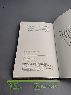 Задонщина. Древнерусская песня-повесть о Куликовской битве