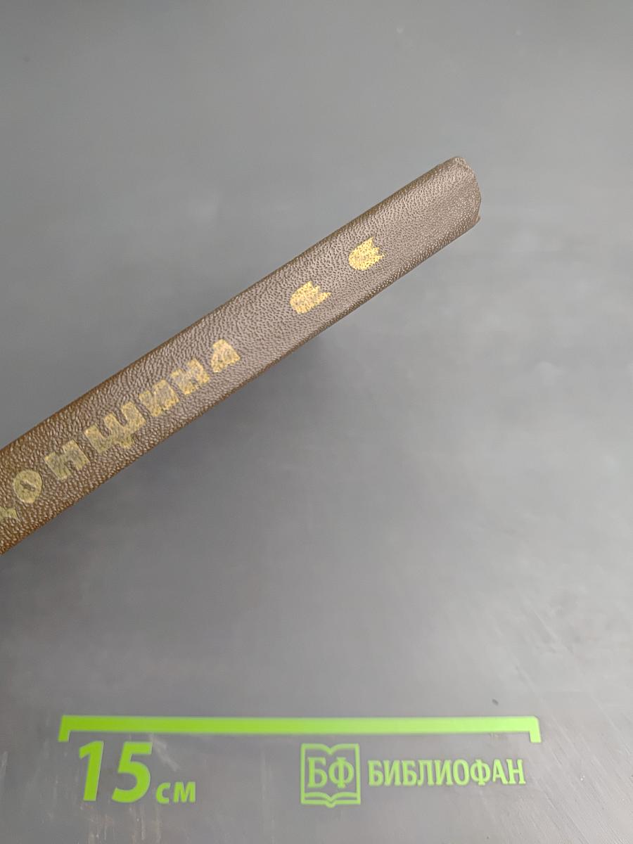 Задонщина. Древнерусская песня-повесть о Куликовской битве