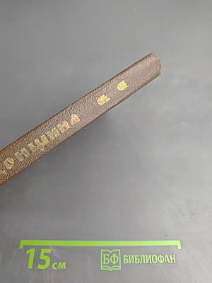 Задонщина. Древнерусская песня-повесть о Куликовской битве