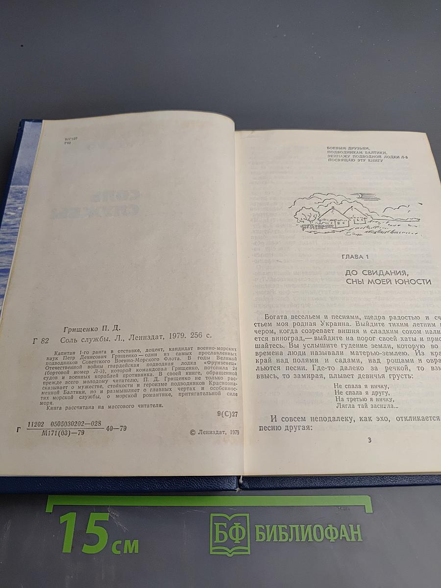 Соль службы