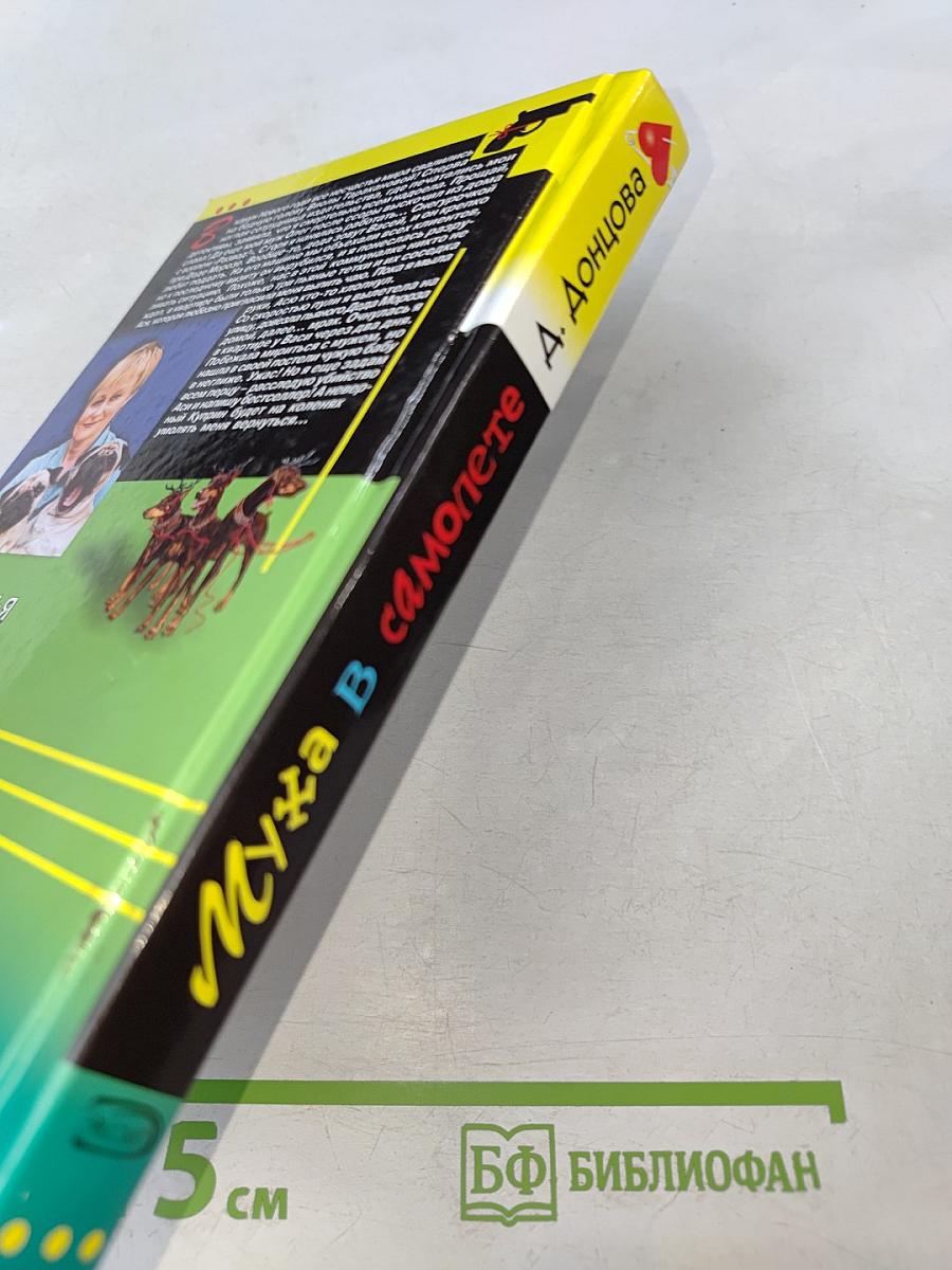 Муха в самолете