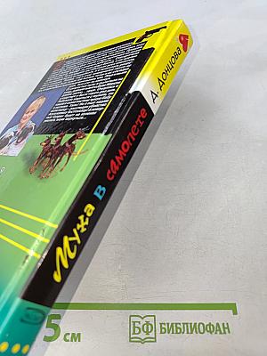 Муха в самолете