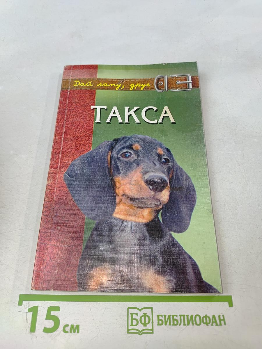 Такса. Короткие ноги, длинное туловище, необыкновенный ум