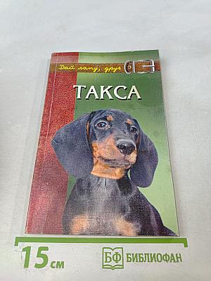 Такса. Короткие ноги, длинное туловище, необыкновенный ум