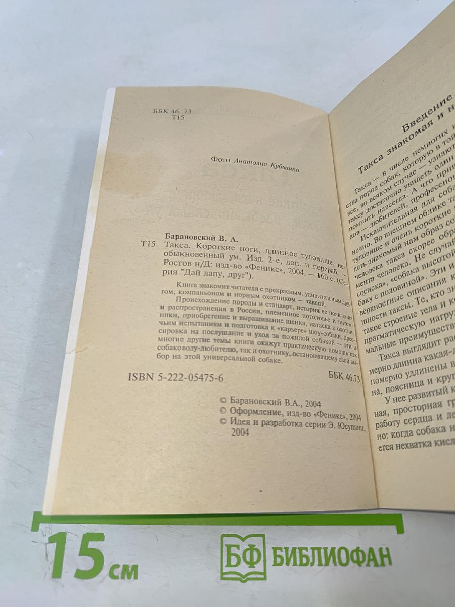 Такса. Короткие ноги, длинное туловище, необыкновенный ум