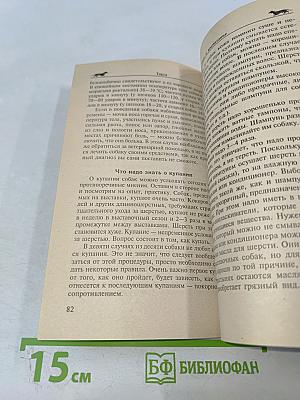 Такса. Короткие ноги, длинное туловище, необыкновенный ум