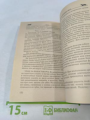 Такса. Короткие ноги, длинное туловище, необыкновенный ум