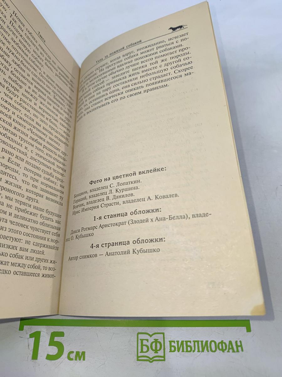 Такса. Короткие ноги, длинное туловище, необыкновенный ум