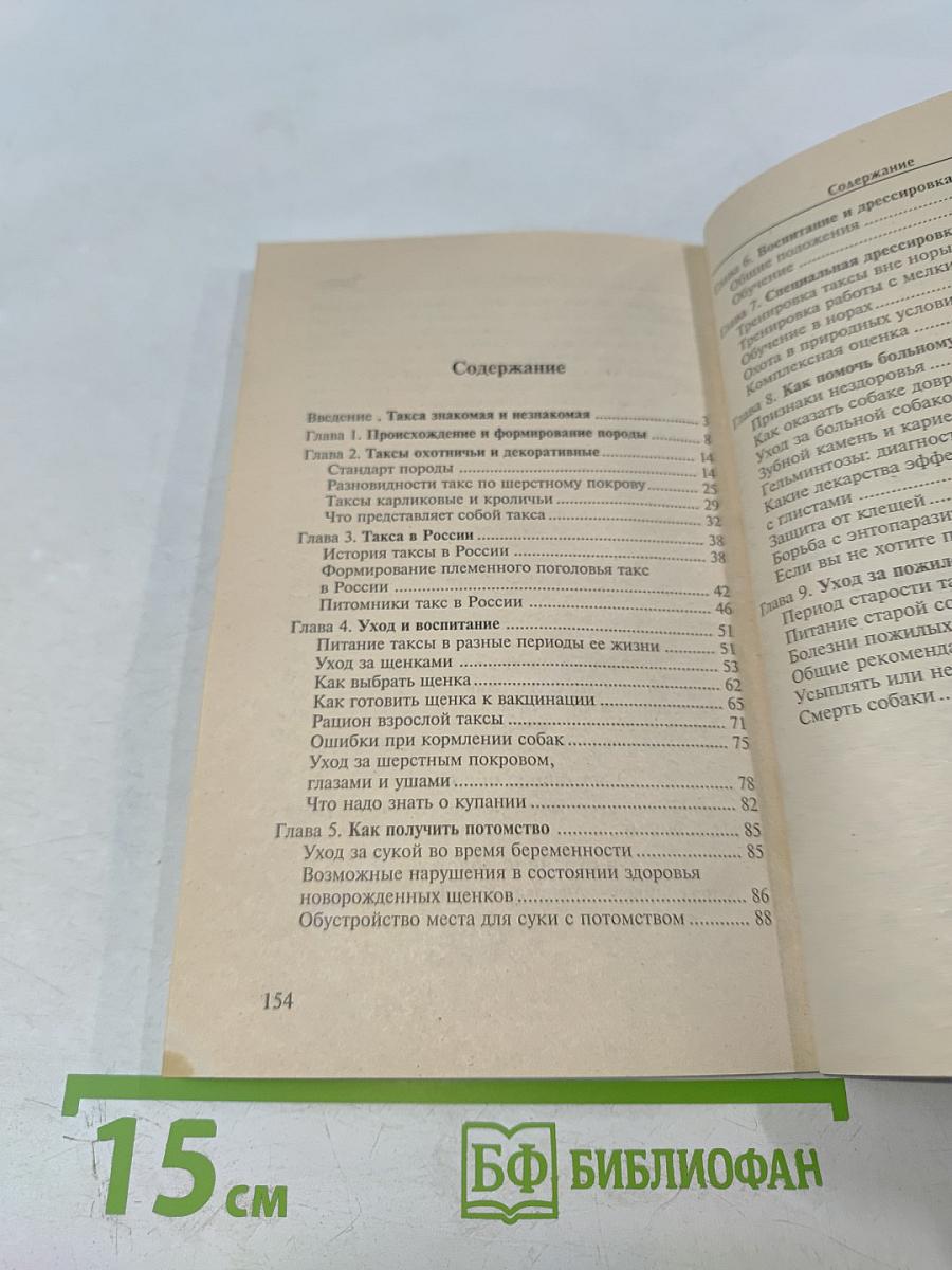 Такса. Короткие ноги, длинное туловище, необыкновенный ум