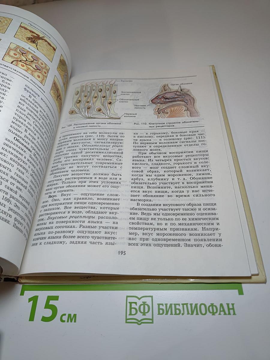 Биология Человек 9 класс