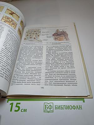 Биология Человек 9 класс