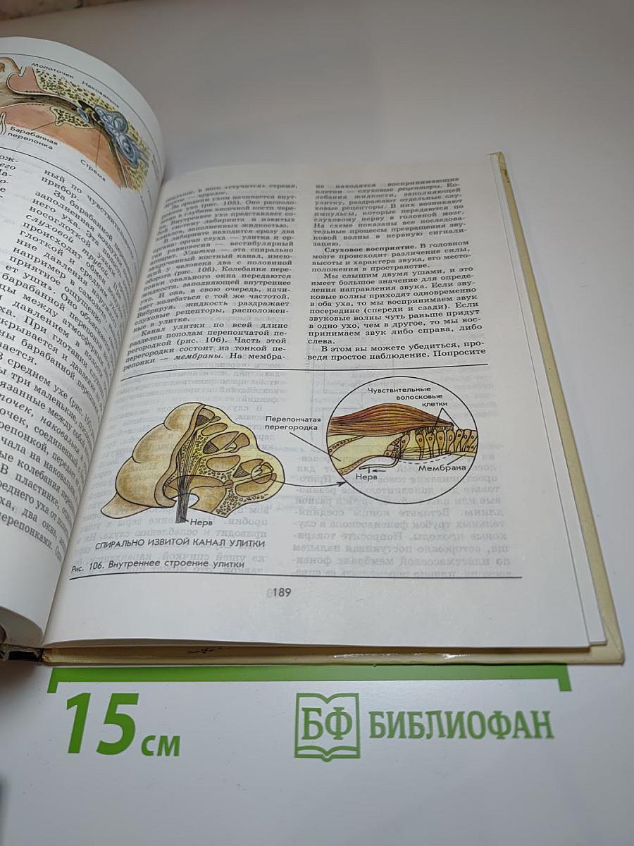 Биология Человек 9 класс