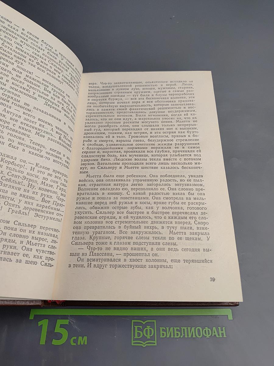 Собрание сочинений. Том 1: Карьера Ругонов. Добыча