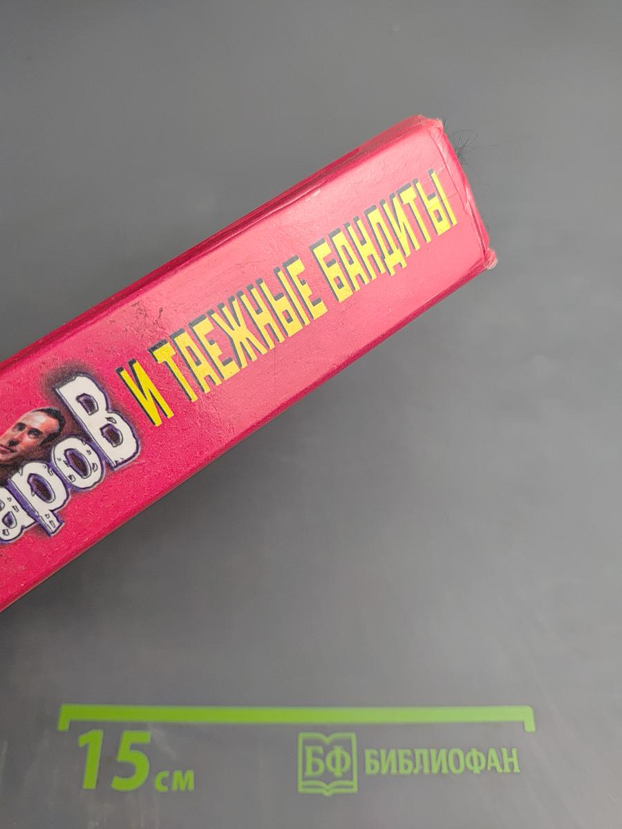 Гончаров и таежные бандиты