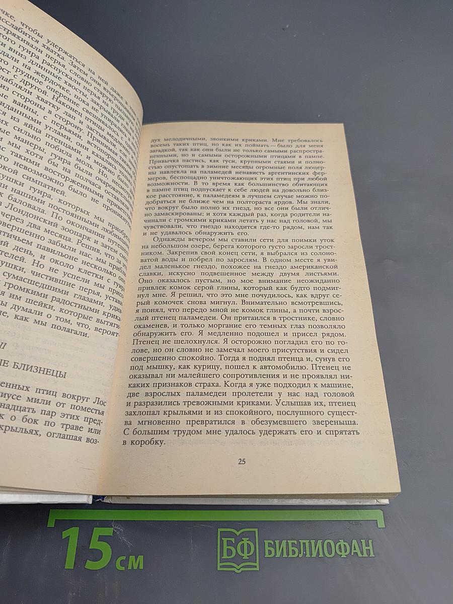 Под пологом пьяного леса (сборник)