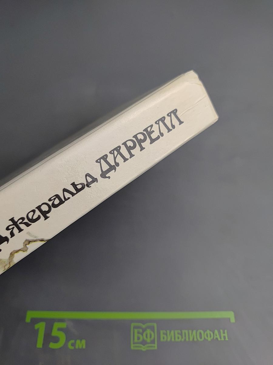 Под пологом пьяного леса (сборник)