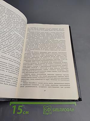 Роман Мумии. Жрица Изиды