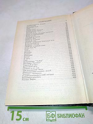 Позорный столб