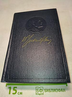 Полное собрание сочинений. Том 17: Март 1908 – июнь 1909