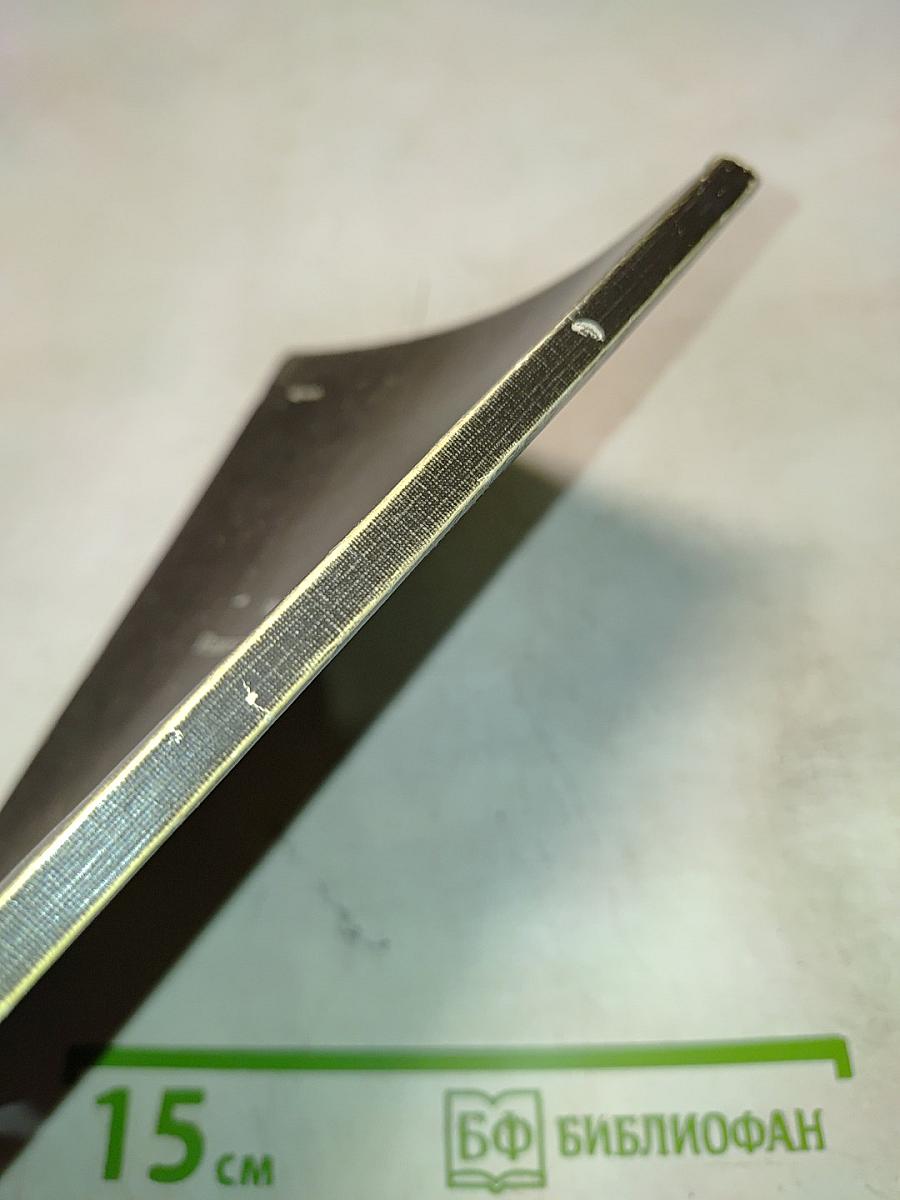 Рембрандт: О социальной сущности творчества художника