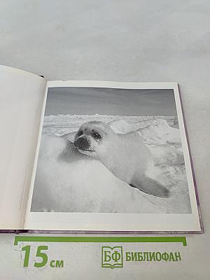 Когда тебе грустно... Как поднять себе настроение