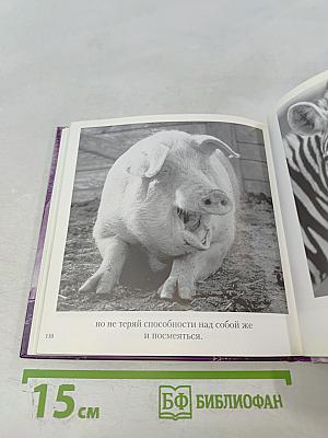 Когда тебе грустно... Как поднять себе настроение