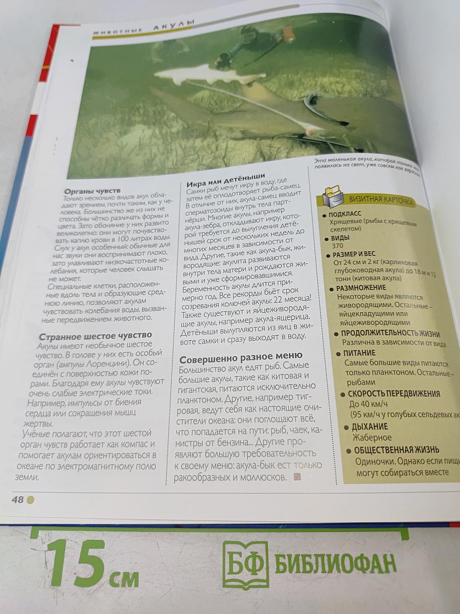 Наш мир от А до Я. Энциклопедия для детей №1. От авиаиндустрии до акул