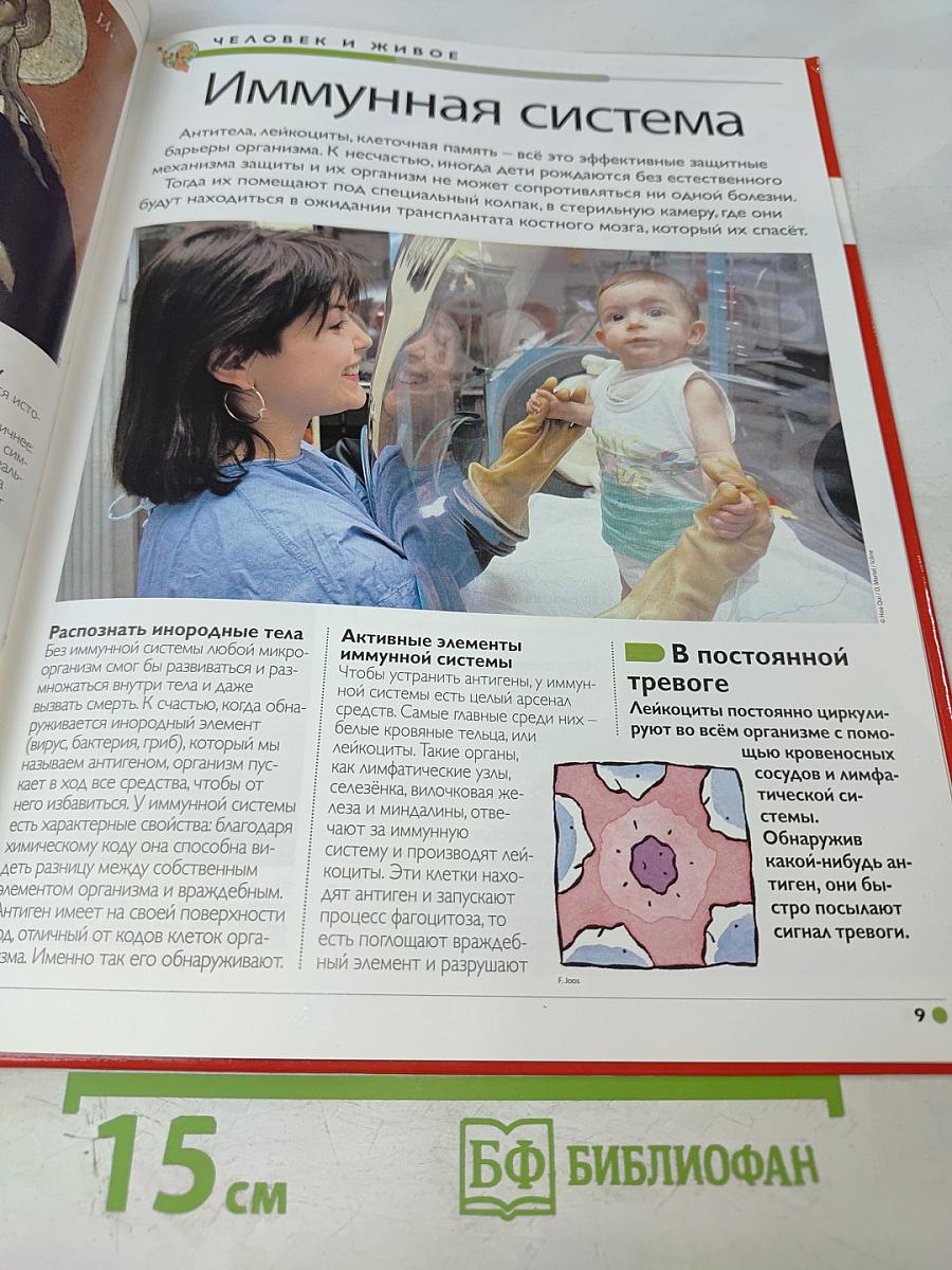 Наш мир от А до Я. Энциклопедия для детей. Том 19: От иконописи Древней Руси до Ирана