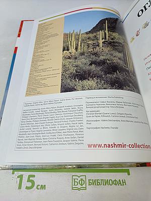 Наш мир от А до Я. Энциклопедия для детей. Том 21