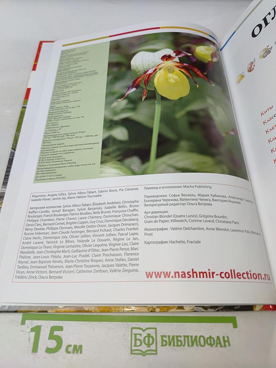 Наш мир от А до Я. Энциклопедия для детей. Том 23. От китов до колхоза