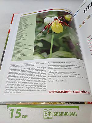 Наш мир от А до Я. Энциклопедия для детей. Том 23. От китов до колхоза