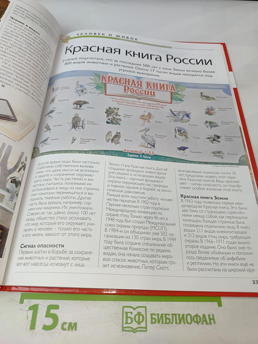 Наш мир от А до Я. Энциклопедия для детей. Том 23. От китов до колхоза