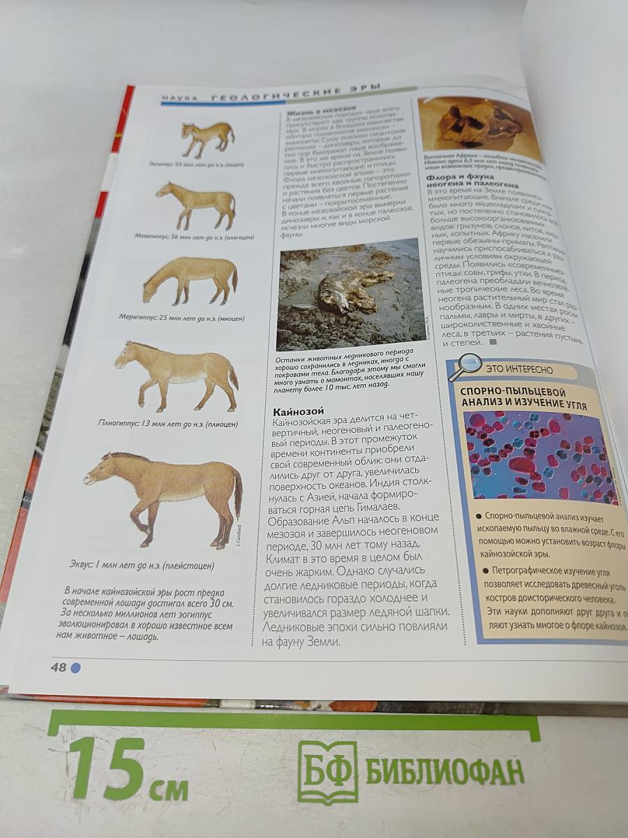 Наш мир от А до Я. Энциклопедия для детей №10