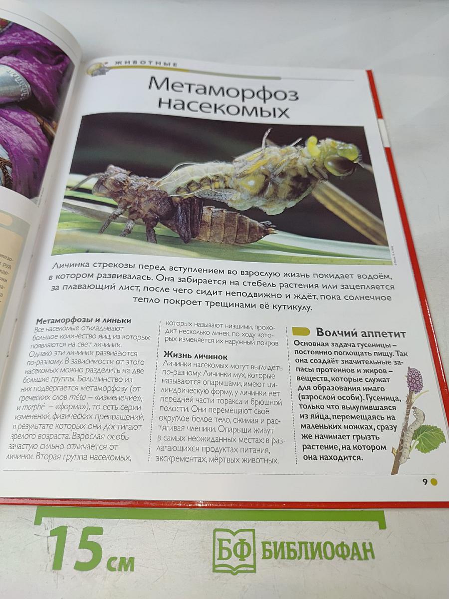 Наш мир от А до Я. Энциклопедия для детей. Том 31: От металлов до млекопитающих мира