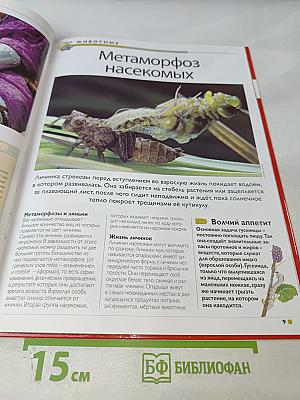 Наш мир от А до Я. Энциклопедия для детей. Том 31: От металлов до млекопитающих мира