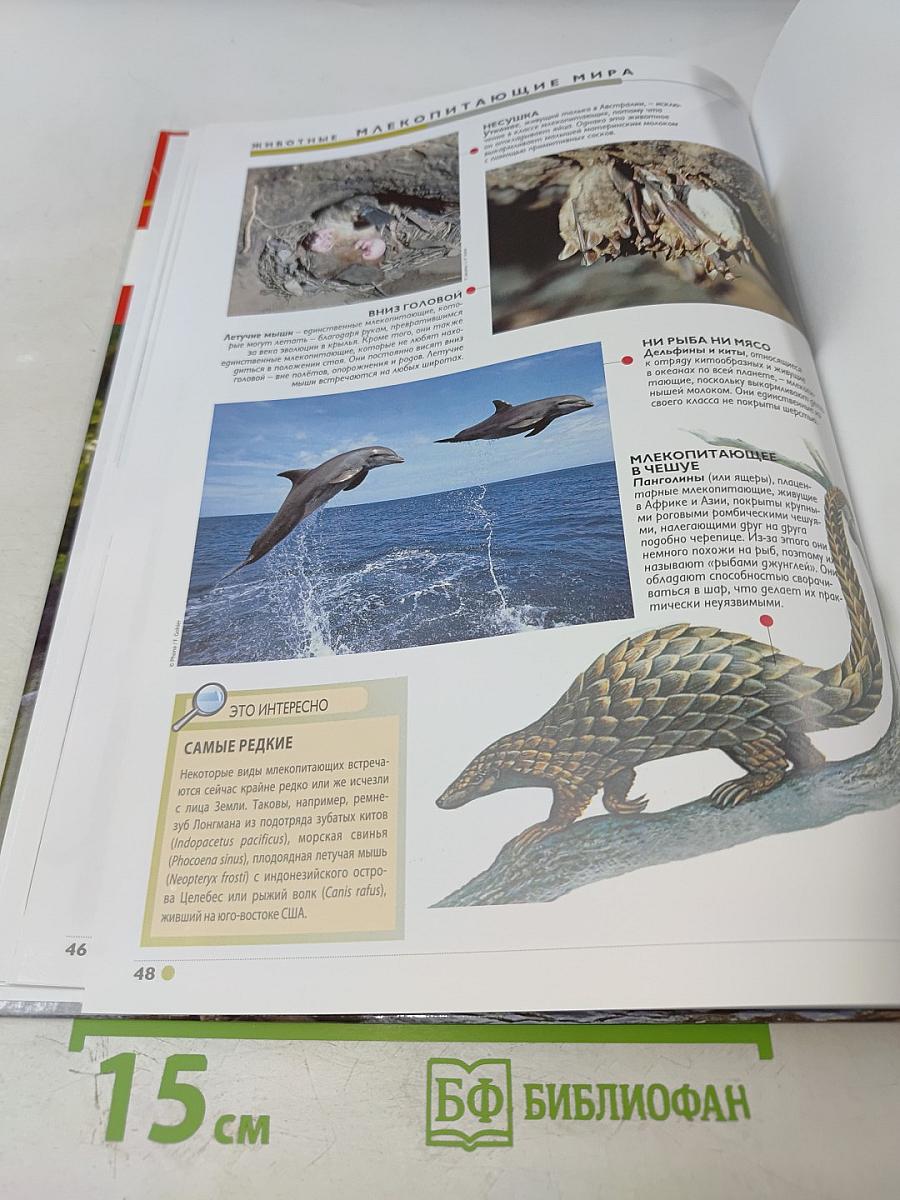 Наш мир от А до Я. Энциклопедия для детей. Том 31: От металлов до млекопитающих мира