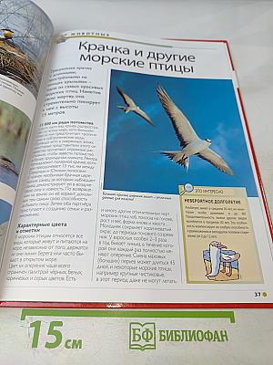 Наш мир от А до Я. Энциклопедия для детей. №32. От моголов и Индии до морей мира