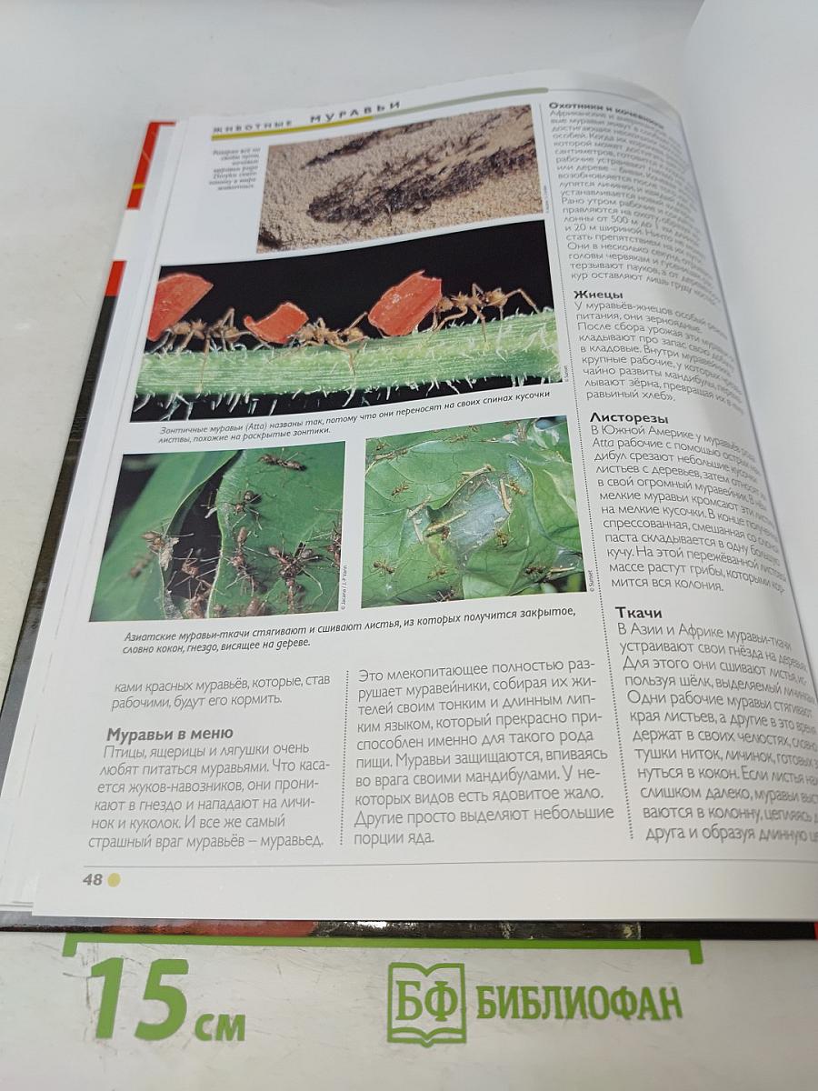 Наш мир от А до Я. Энциклопедия для детей. Том 33: От Москвы до муравьёв