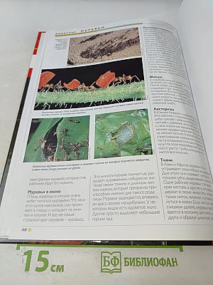 Наш мир от А до Я. Энциклопедия для детей. Том 33: От Москвы до муравьёв