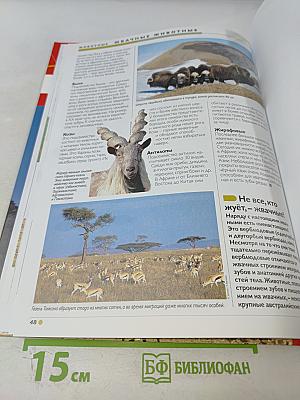 Наш мир от А до Я. Энциклопедия для детей, Том 15